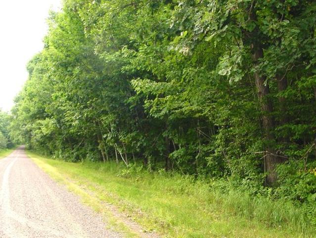 Land for sale in Bruce, Wisconsin