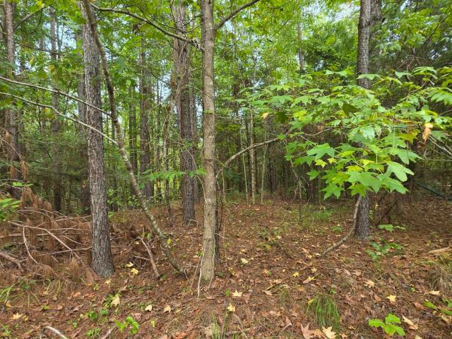 Land for sale in Mississippi