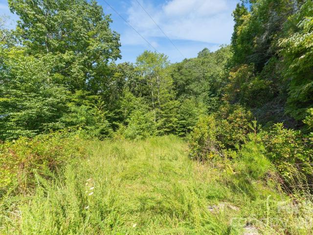 Land for sale in Franklin, North Carolina