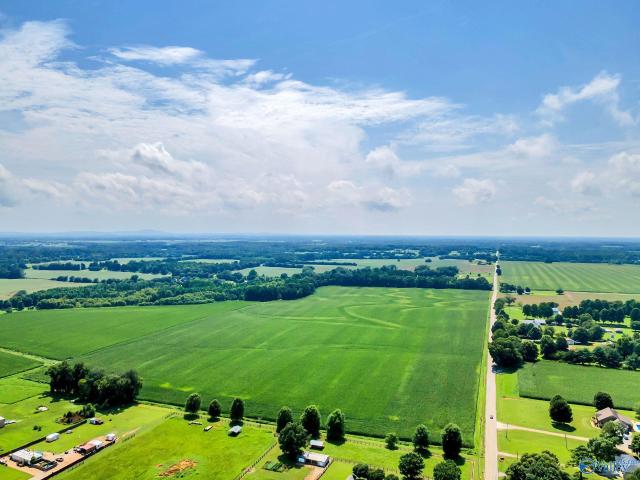 Land for sale in New Market, Alabama