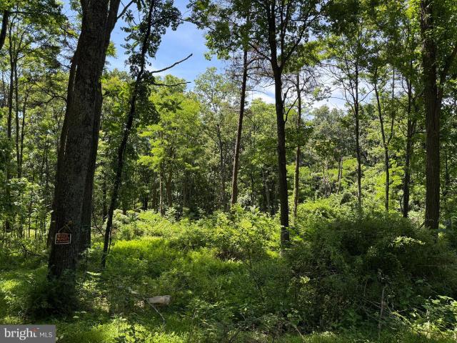 Land for sale in West Virginia