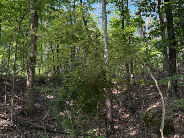 Land for sale in Como, Mississippi