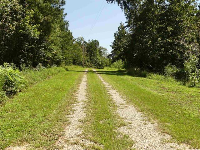 Land for sale in Wedowee, Alabama