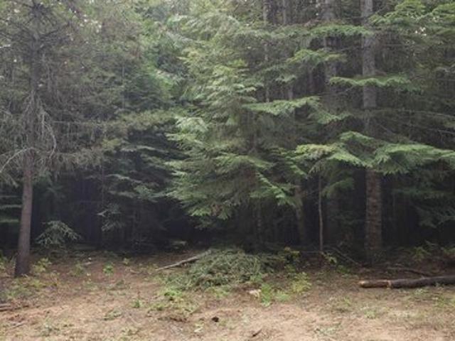 Land for sale in Saint Maries, Idaho