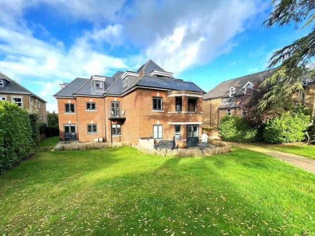 Apartment for rent in Charlotteville, Guildford