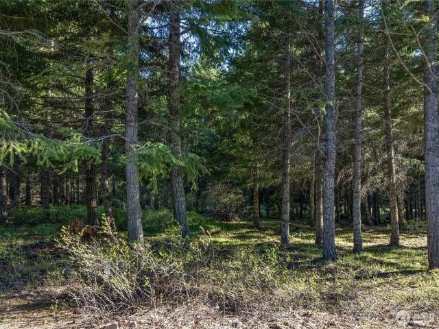 Land for sale in Cle Elum, Washington