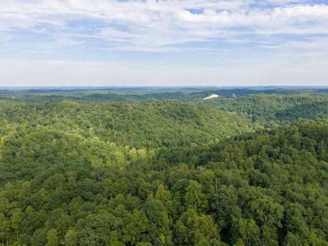 Land for sale in Olive Hill, Kentucky