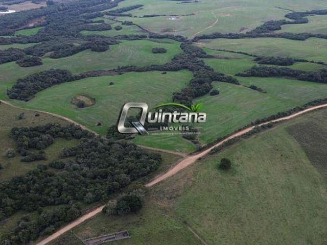 Sítio e chácara venda em Região Geográfica Imediata de Pelotas, Cerrito