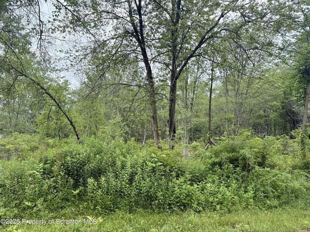 Land for sale in Lake Ariel, Pennsylvania