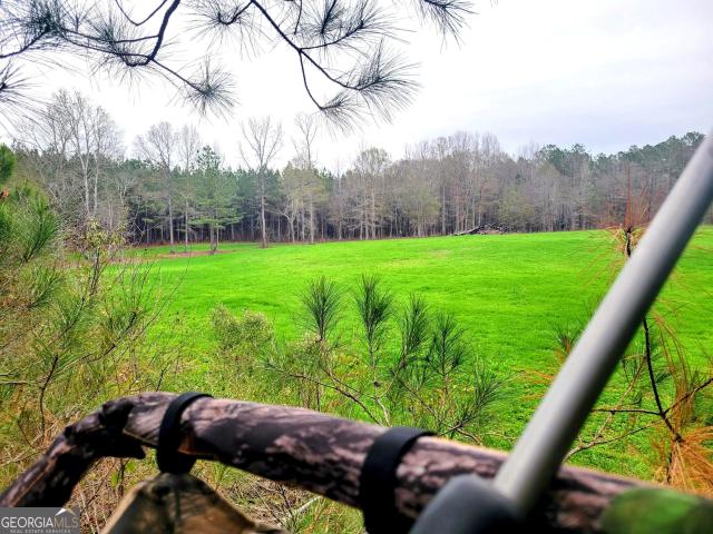 Land for sale in Upson, Georgia