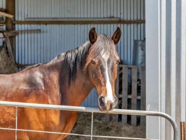 Property for sale in Ruatangata, Northland