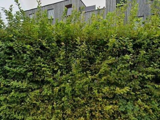 Apartment mieten in Schoren, Dornbirn