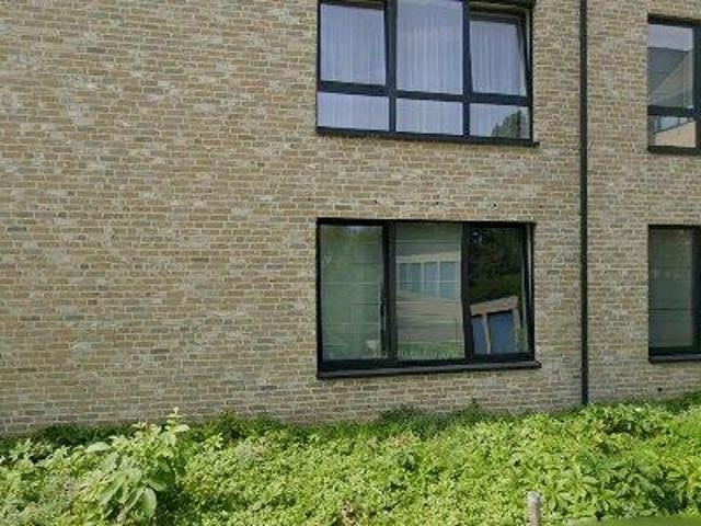 Appartement location à Oudenaarde