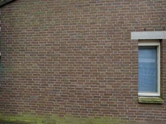 Bedrijfspand te huur in Bosch, Noord Brabant