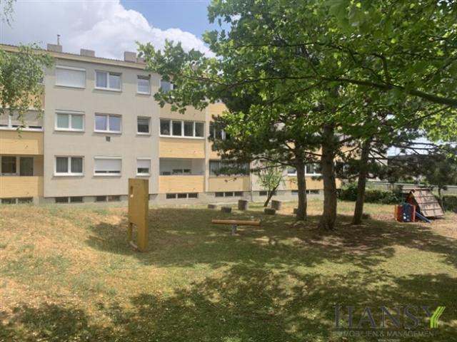 Wohnung kaufen in Gumpoldskirchen, Niederösterreich