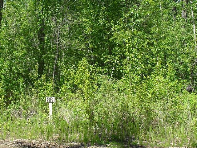 Land for sale in Alberta