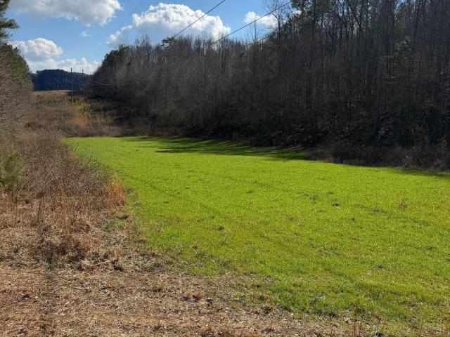 Land for sale in Guntersville, Alabama