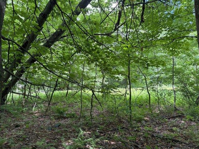 Land for sale in Jay, Maine