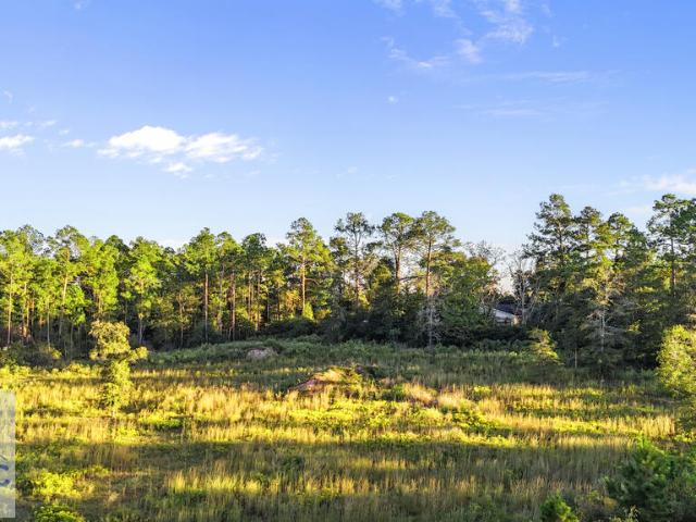 Land for sale in Jesup, Wayne County