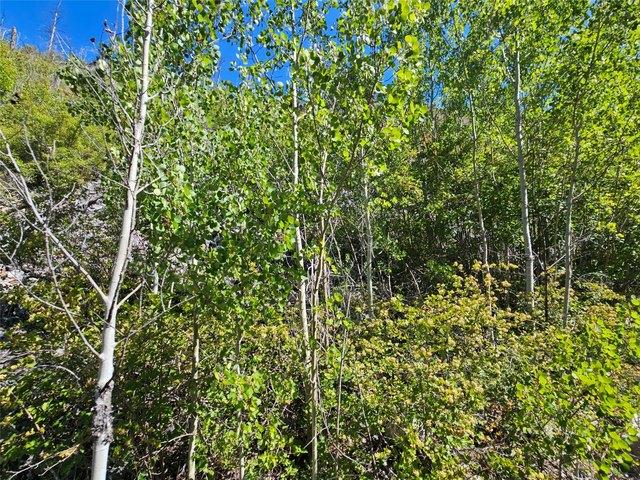 Land for sale in Granite, Montana