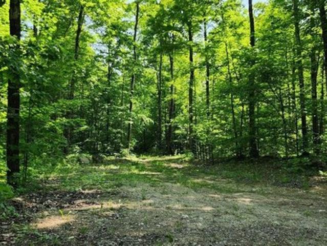 Land for sale in Hessel, Clark Township