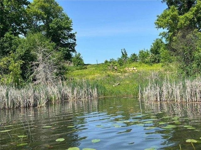 Land for sale in Wright, Minnesota
