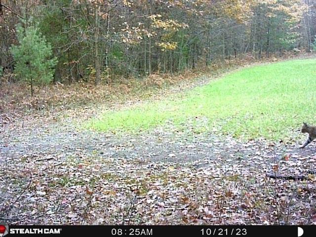 Land for sale in Michigan