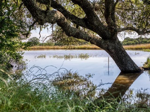 Land for sale in Washington