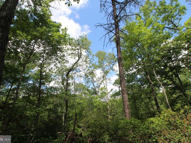 Land for sale in Fredericksburg, Spotsylvania County