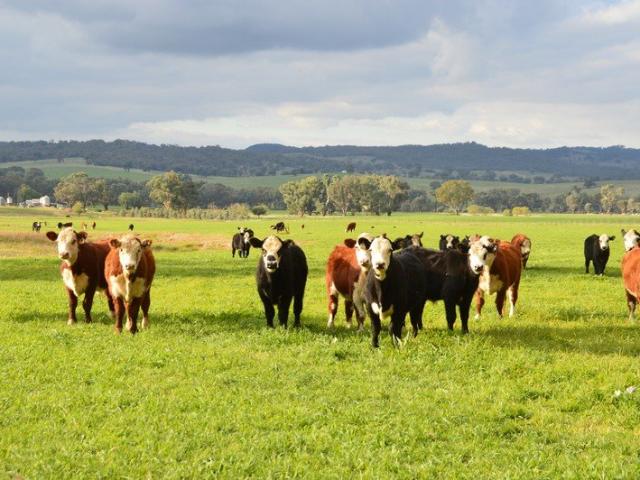 Acreage for sale in Belfrayden, New South Wales