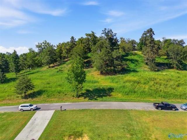 Land for sale in Hanceville, Cullman County
