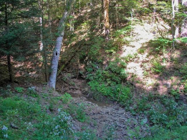 Land for sale in White Sulphur Springs, West Virginia