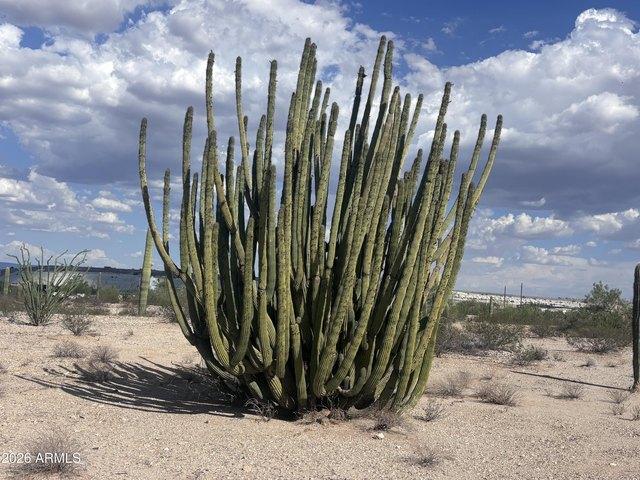 Land for sale in Ajo, Arizona