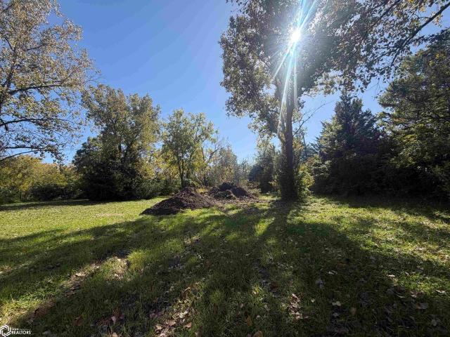 Land for sale in Mount Pleasant, Henry County