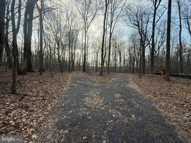 Land for sale in Lisbon, Maryland