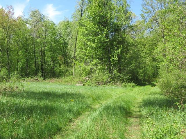 Land for sale in Dunn, Wisconsin