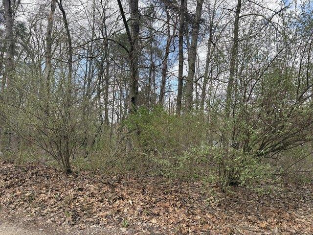 Land for sale in Hillsdale, Michigan