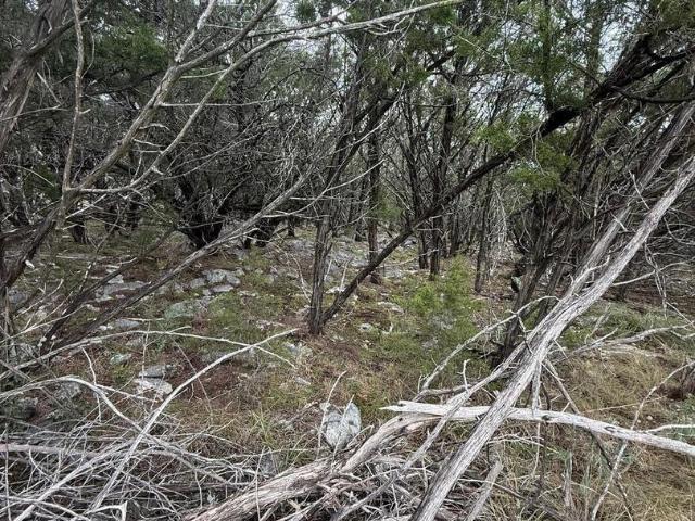 Land for sale in Leesville, Texas