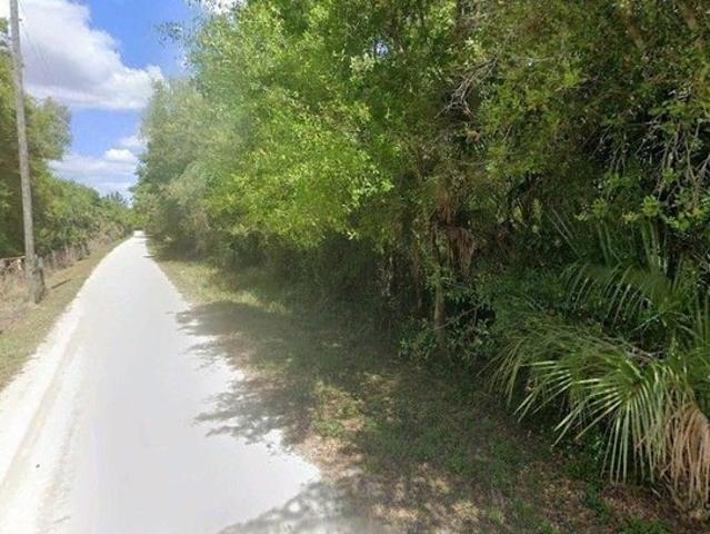 Land for sale in Arcadia, Florida
