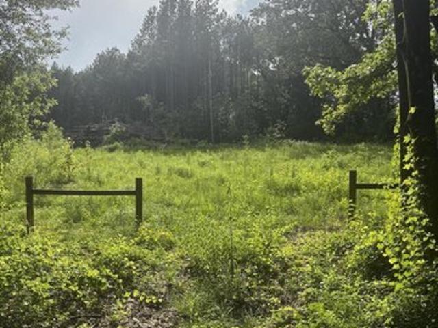 Land for sale in Raymond, Mississippi