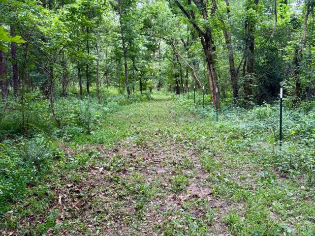 Land for sale in Raymond, Mississippi