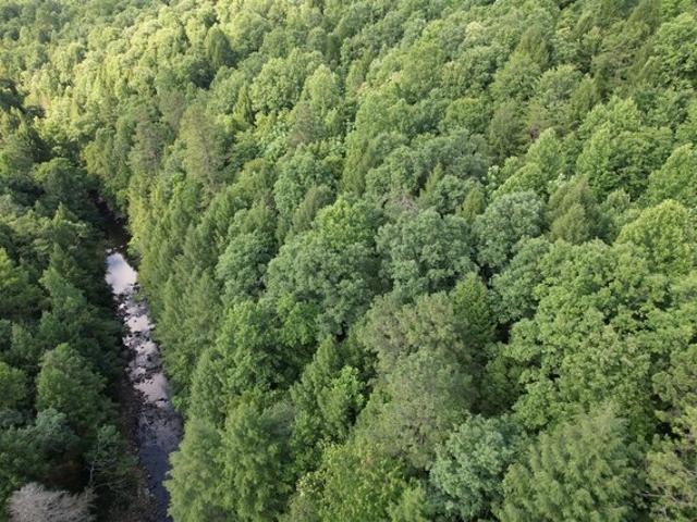 Land for sale in Whitley City, Kentucky