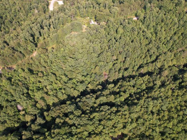 Land for sale in Whitley City, Kentucky