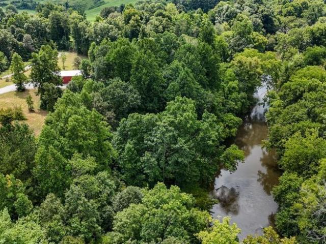 Land for sale in Acorn, Tellico Plains