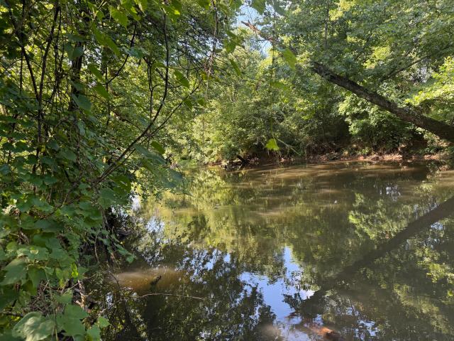 Land for sale in Tennessee