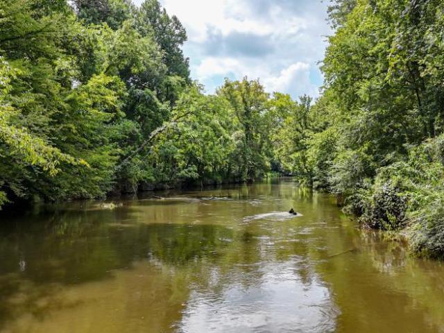 Land for sale in Tennessee