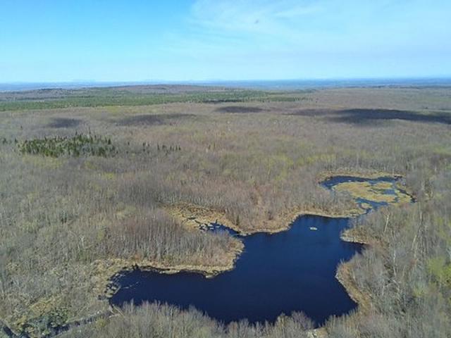 Land for sale in Ellenburg, New York
