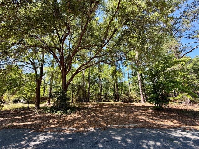 Land for sale in Allenhurst, Georgia