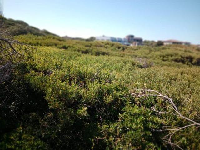Land for sale in Cape St Francis, Eastern Cape
