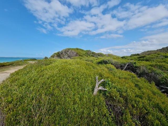 Land for sale in Cape St Francis, Eastern Cape